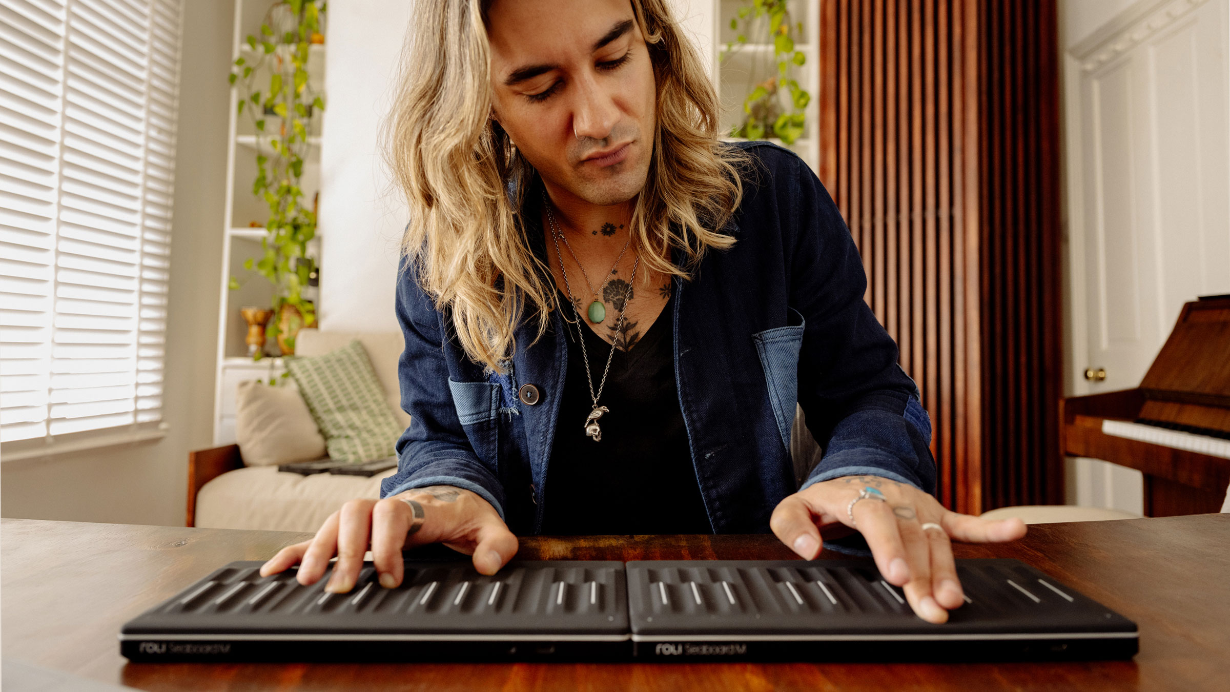 Roli Seaboard M x2 Bundle