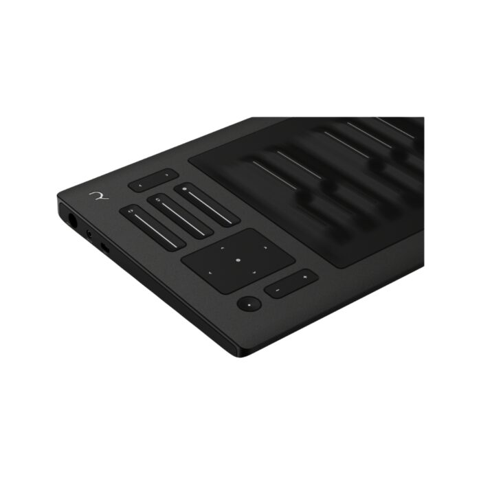 ROLI SEABOARD RISE 2 - Imagen 3