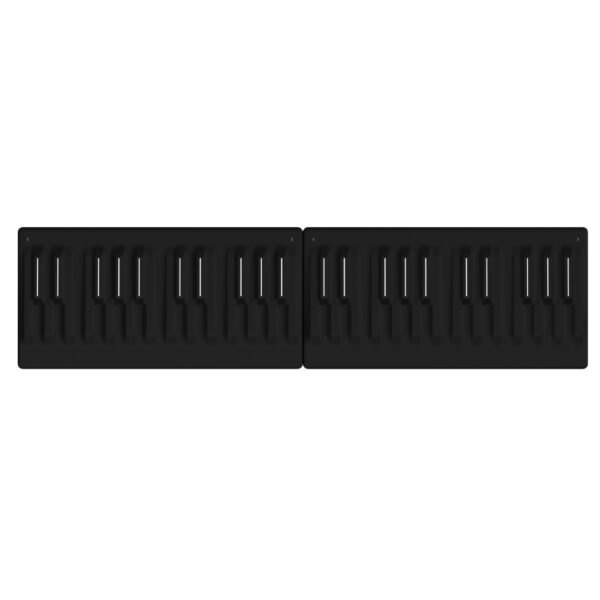 Roli Seaboard M x2 Bundle