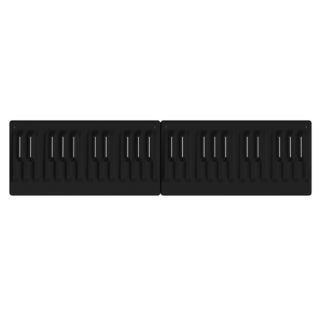 Roli Seaboard M x2 Bundle