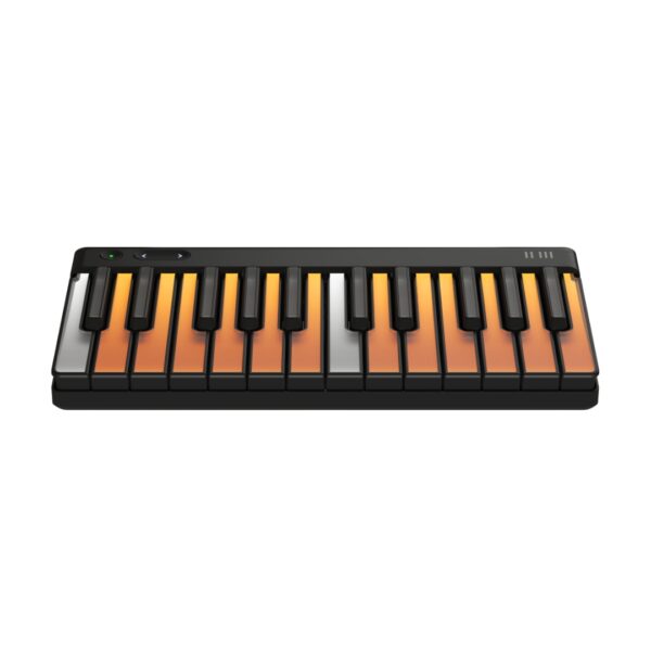 Roli Piano M