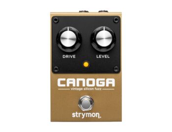Strymon Canoga Fuzz - B2B Music Store