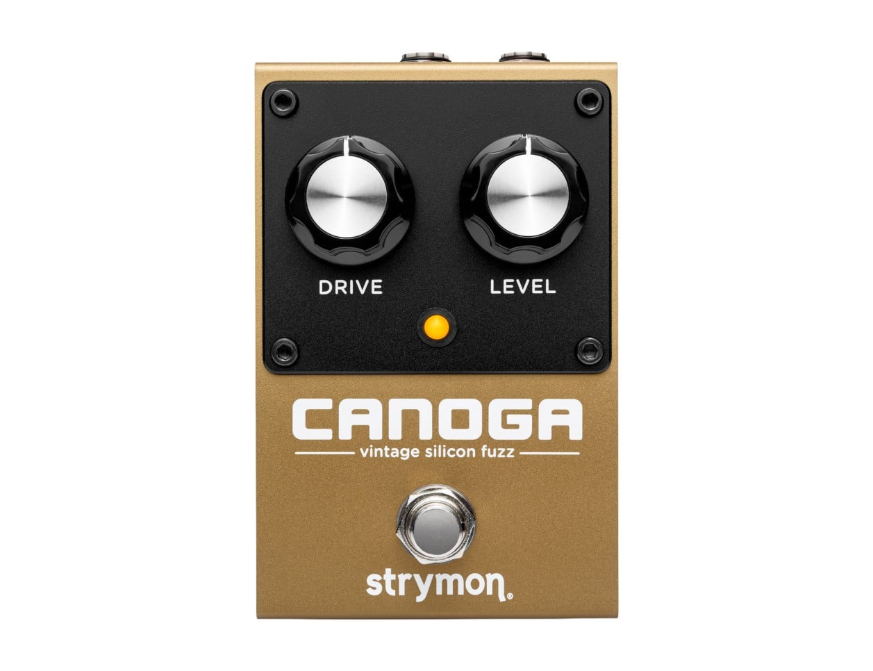 Strymon Canoga Fuzz - B2B Music Store
