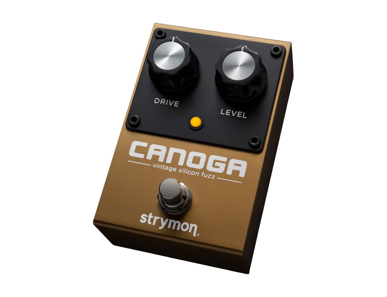 Strymon Canoga Fuzz - B2B Music Store