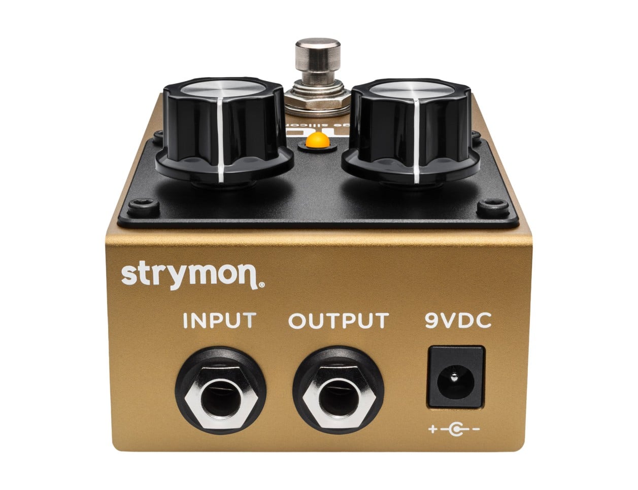Strymon Canoga Fuzz - B2B Music Store