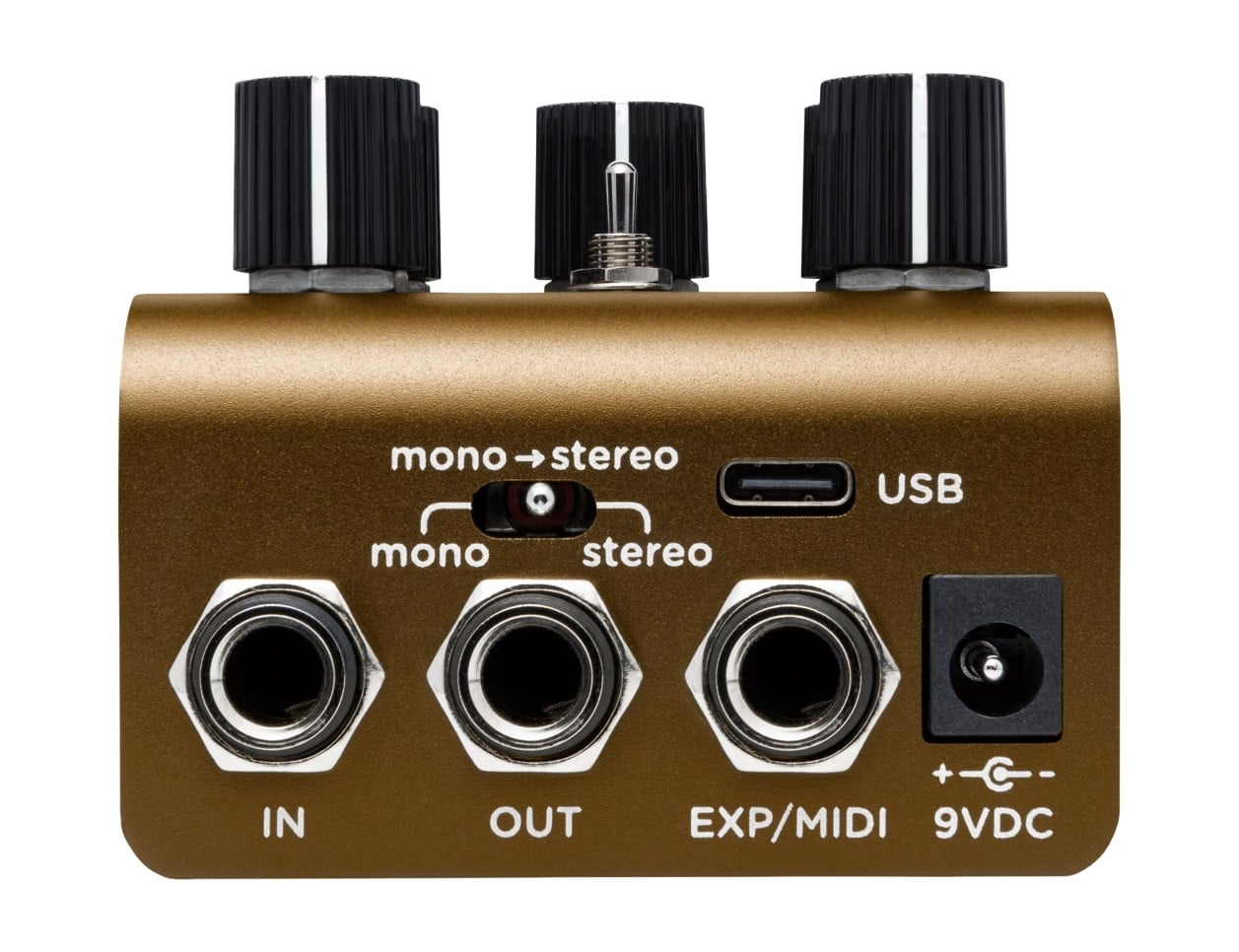 Strymon Olivera Oil Can Echo - B2B Music Store