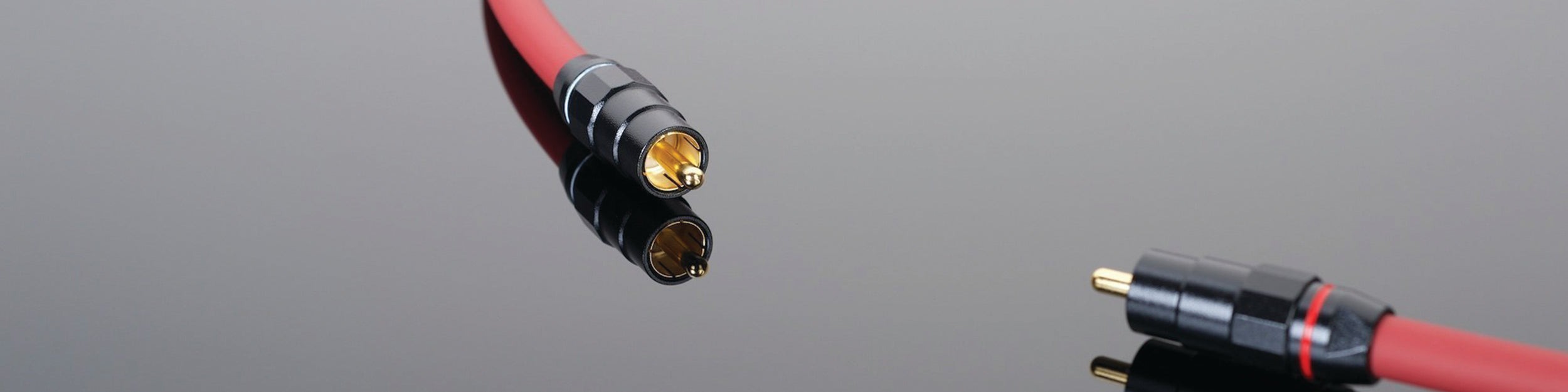 Qué cable de audio necesitás según tu setup - B2B Music Store